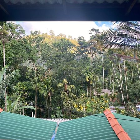 Cozy Homestay Waterfall Road เอลลา ภายนอก รูปภาพ
