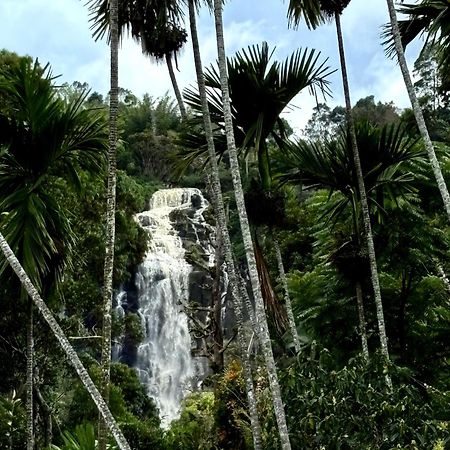 Cozy Homestay Waterfall Road เอลลา ภายนอก รูปภาพ
