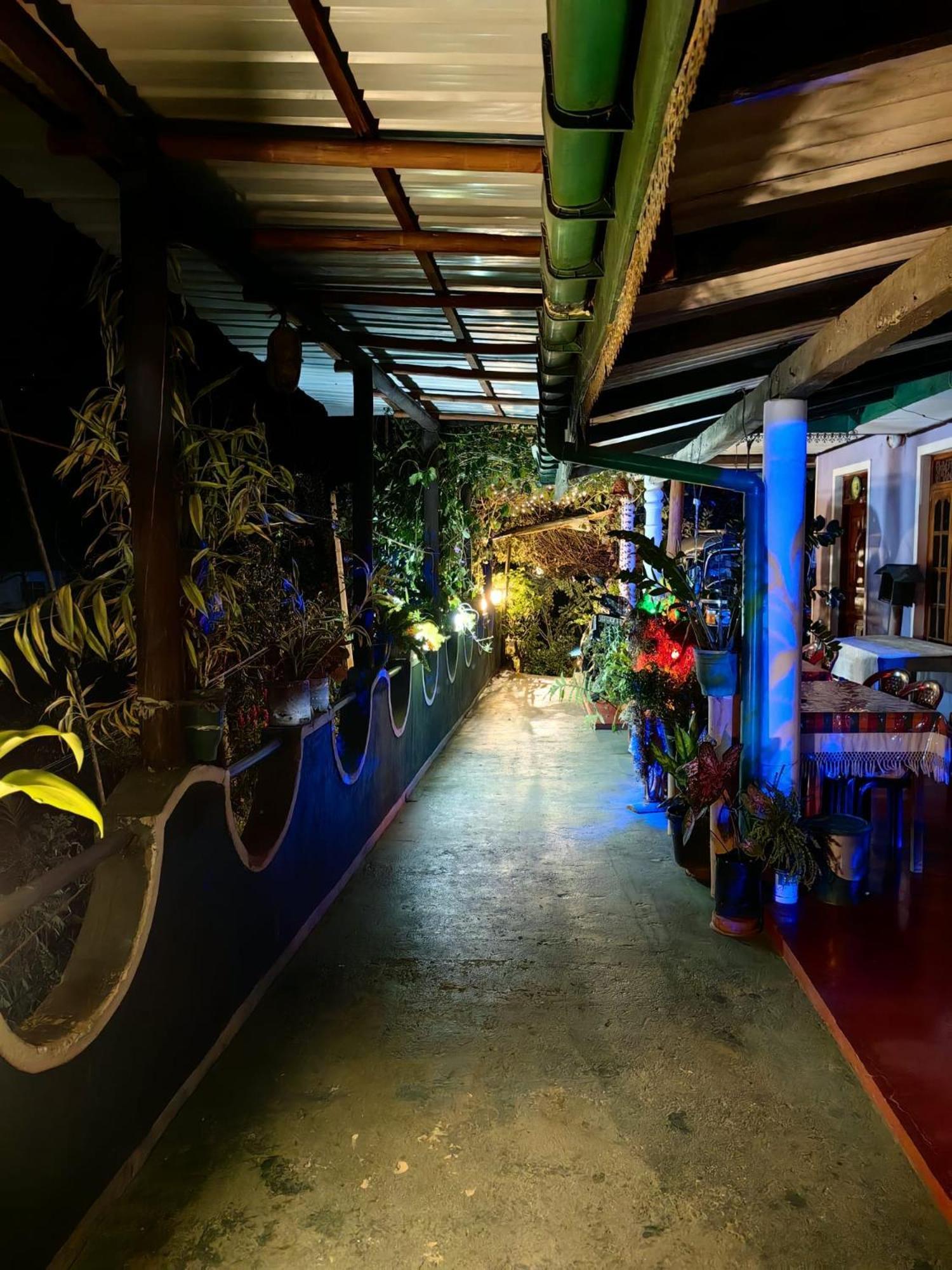 Cozy Homestay Waterfall Road เอลลา ภายนอก รูปภาพ