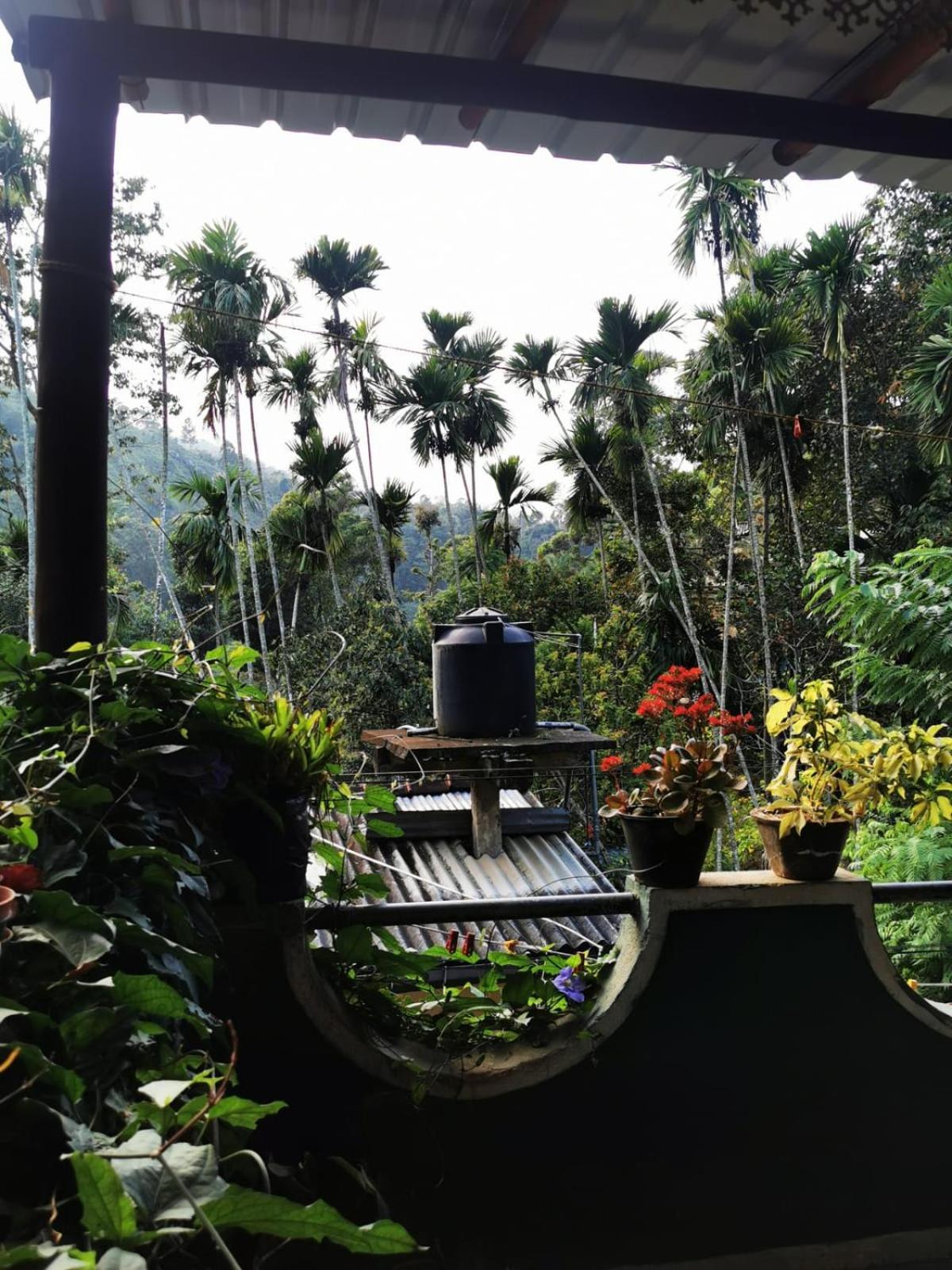 Cozy Homestay Waterfall Road เอลลา ภายนอก รูปภาพ