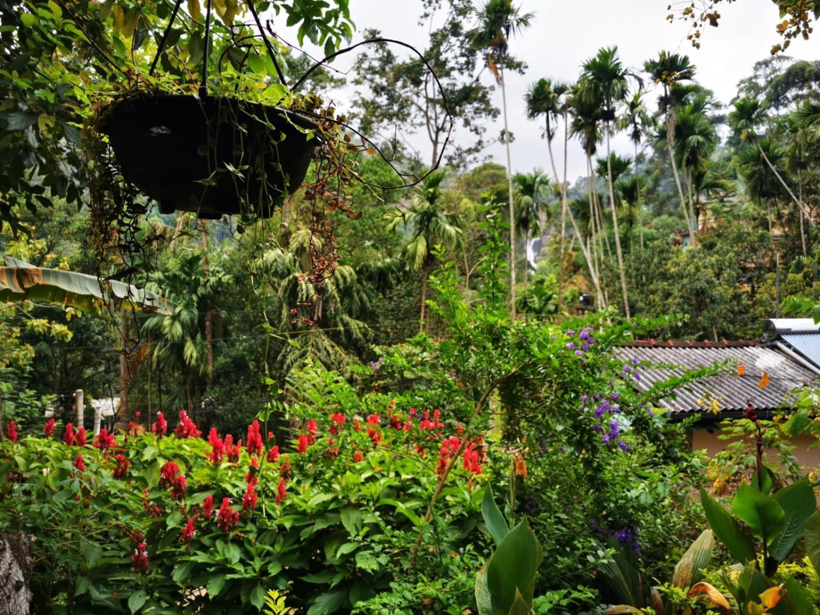 Cozy Homestay Waterfall Road เอลลา ภายนอก รูปภาพ