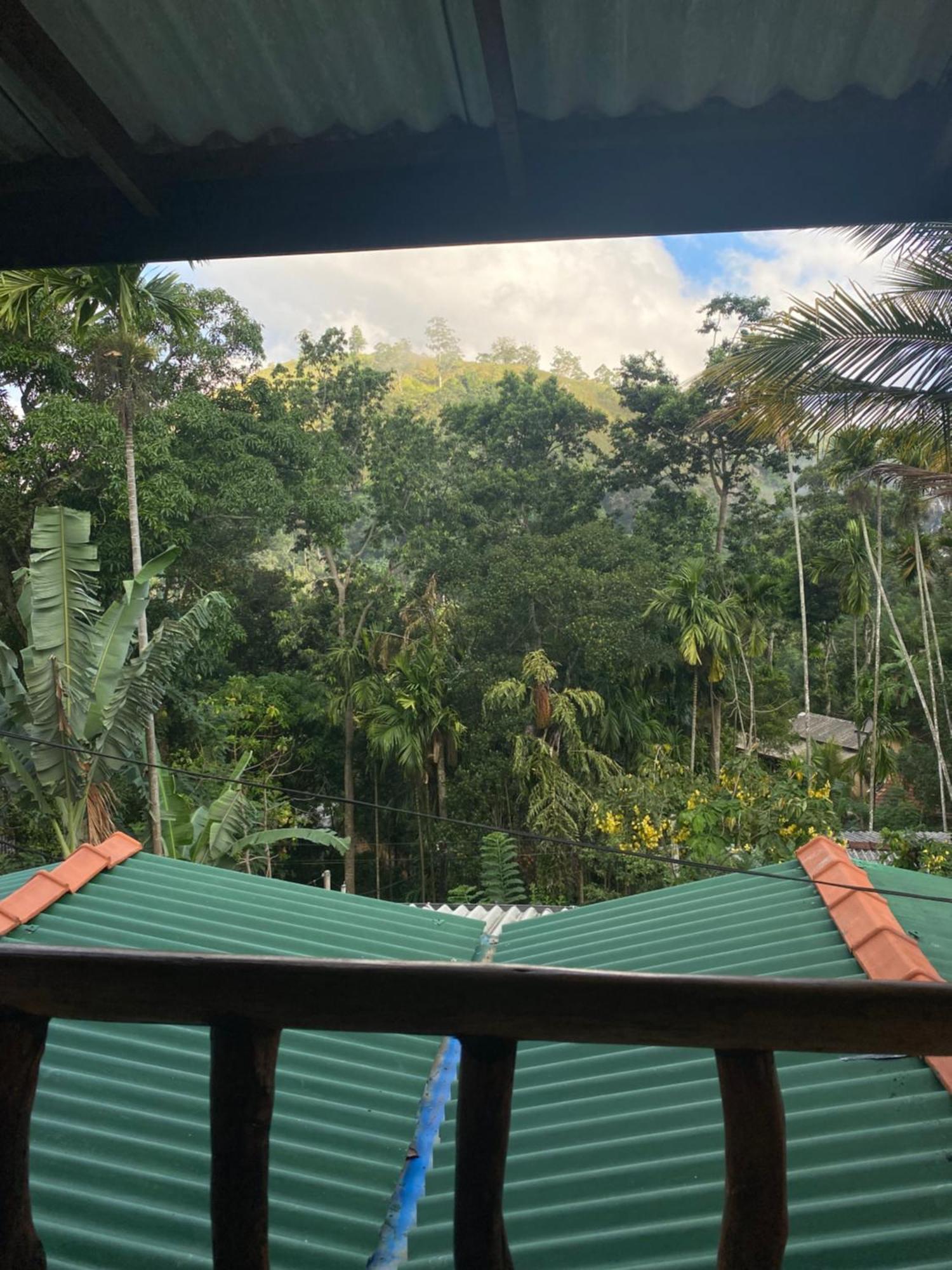 Cozy Homestay Waterfall Road เอลลา ภายนอก รูปภาพ