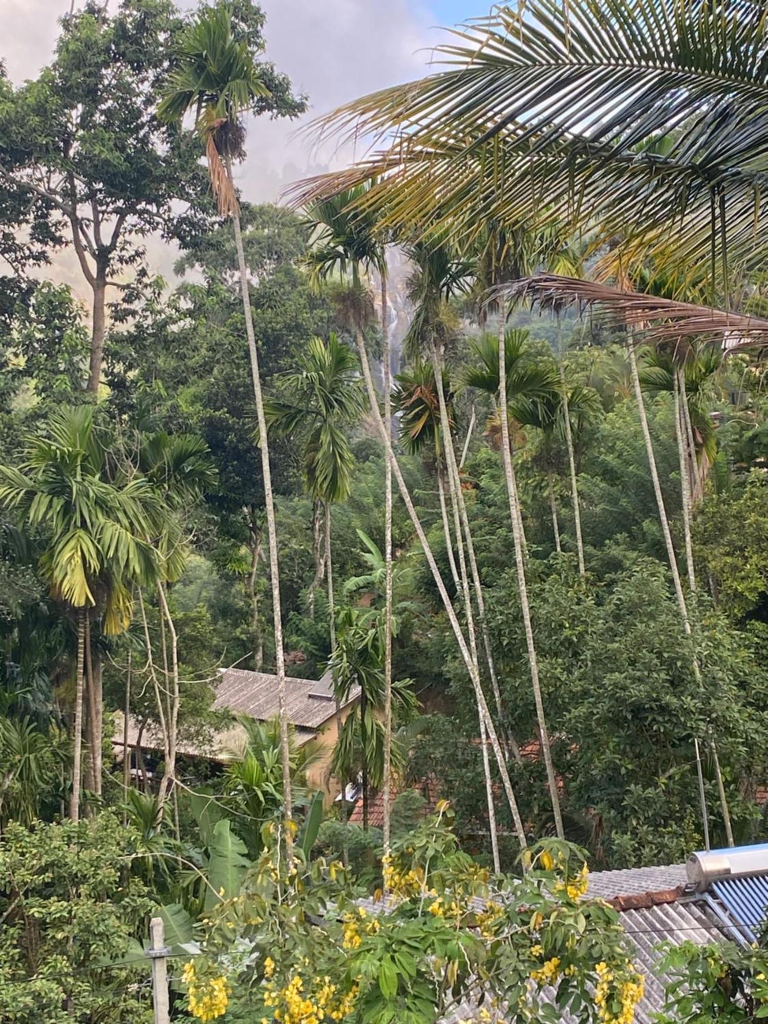 Cozy Homestay Waterfall Road เอลลา ภายนอก รูปภาพ