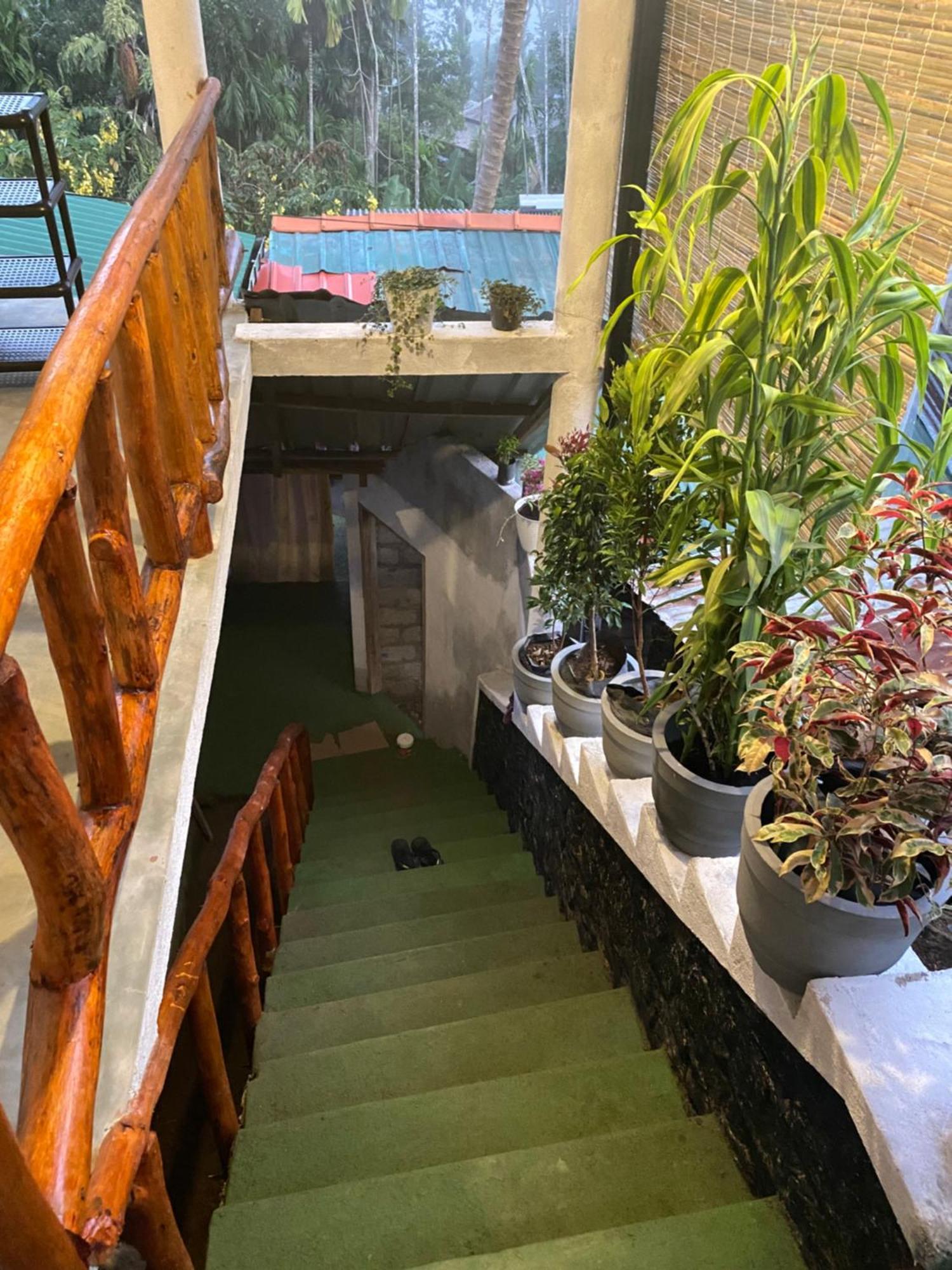 Cozy Homestay Waterfall Road เอลลา ภายนอก รูปภาพ