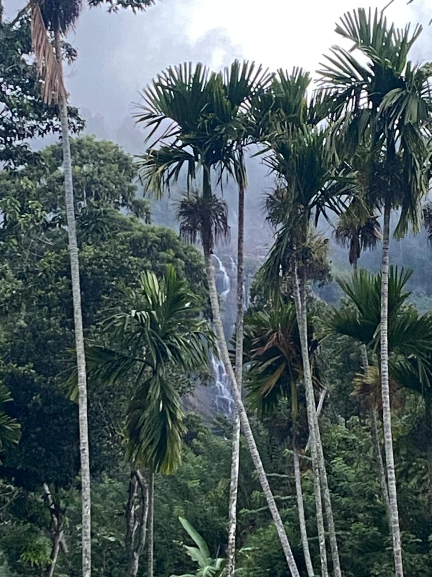 Cozy Homestay Waterfall Road เอลลา ภายนอก รูปภาพ