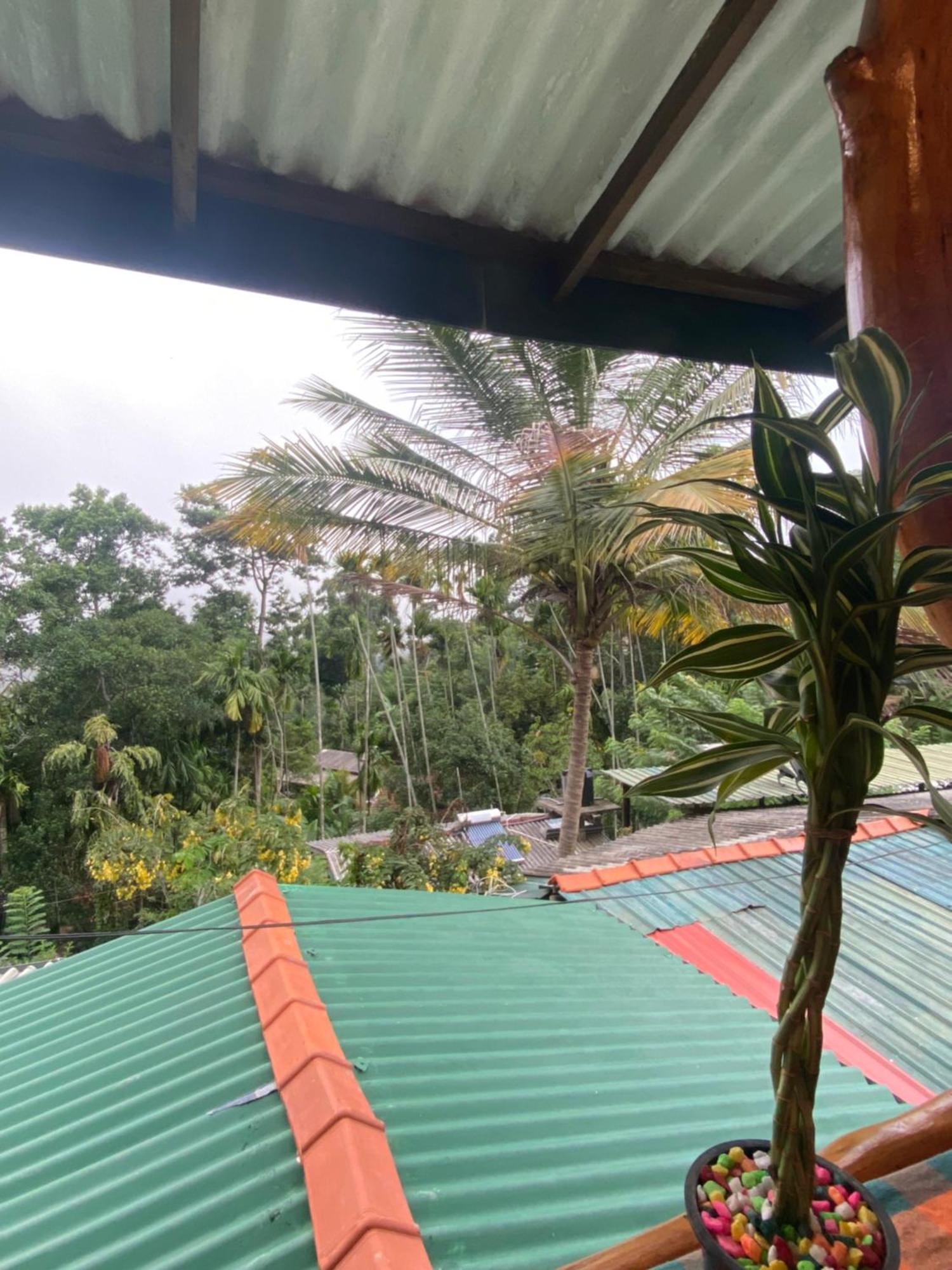 Cozy Homestay Waterfall Road เอลลา ภายนอก รูปภาพ