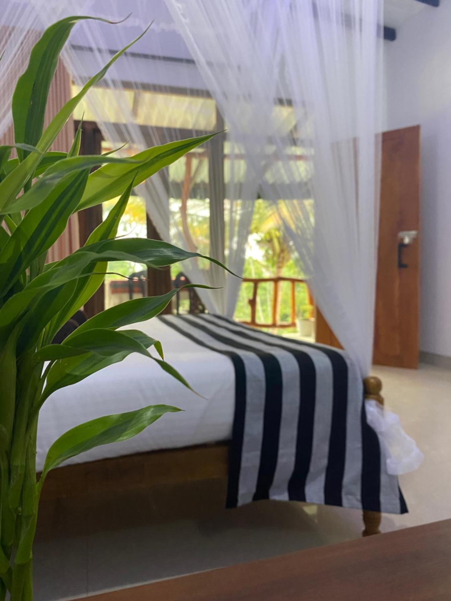 Cozy Homestay Waterfall Road เอลลา ภายนอก รูปภาพ