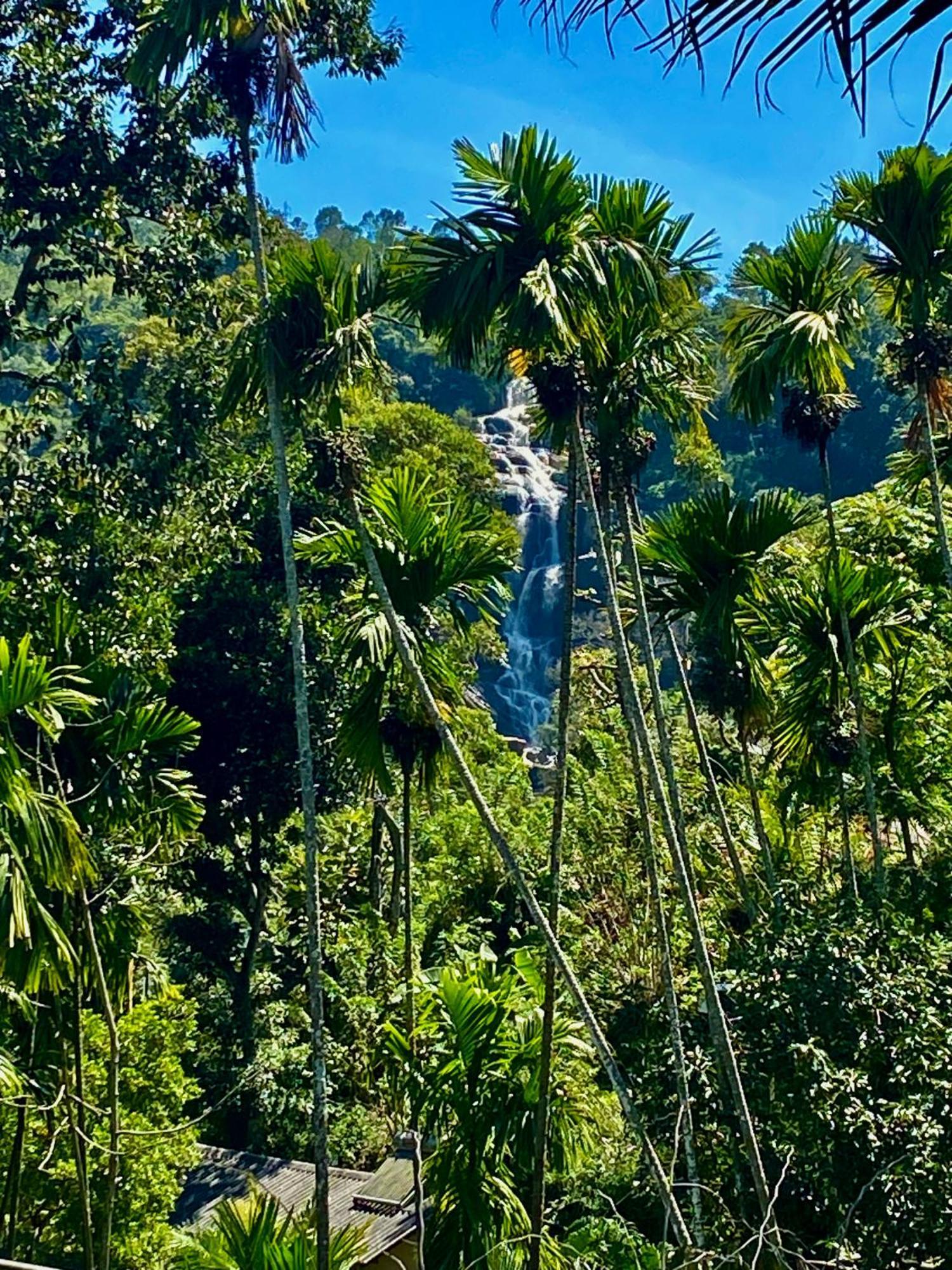 Cozy Homestay Waterfall Road เอลลา ภายนอก รูปภาพ