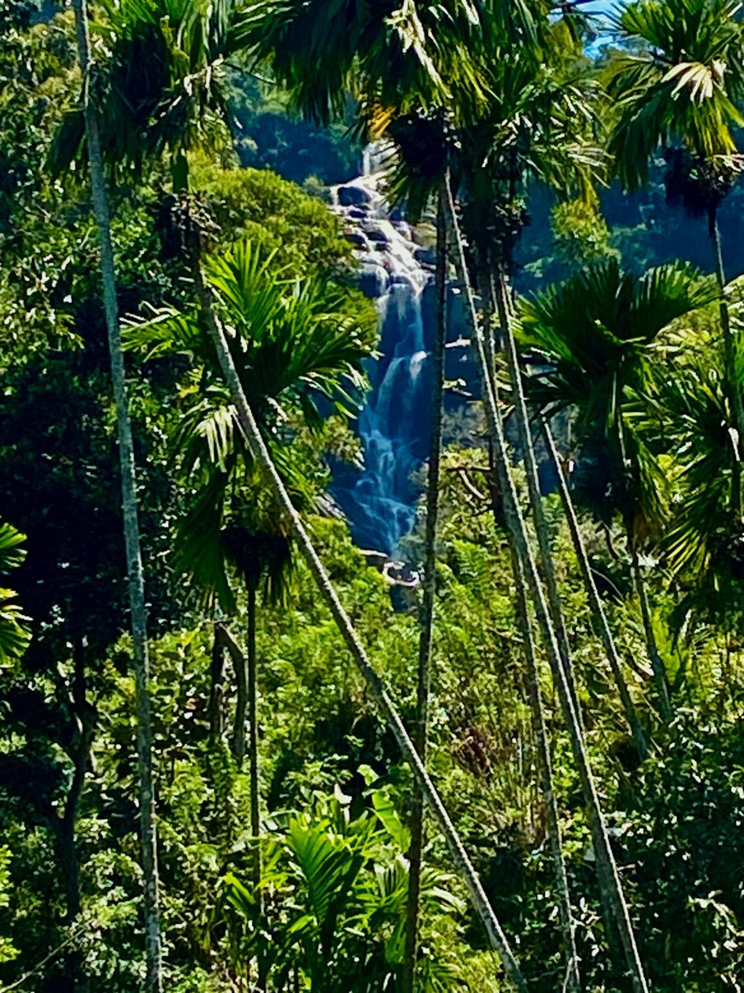 Cozy Homestay Waterfall Road เอลลา ภายนอก รูปภาพ