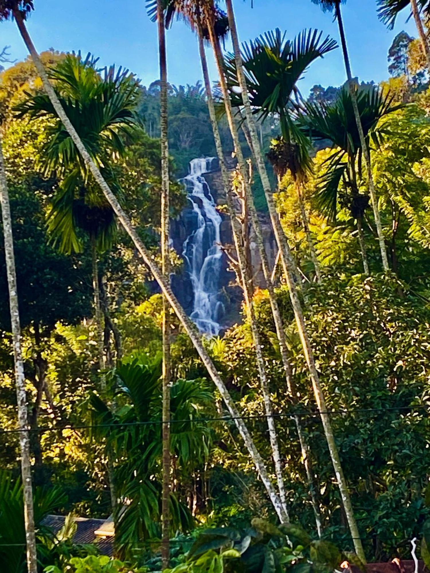 Cozy Homestay Waterfall Road เอลลา ภายนอก รูปภาพ