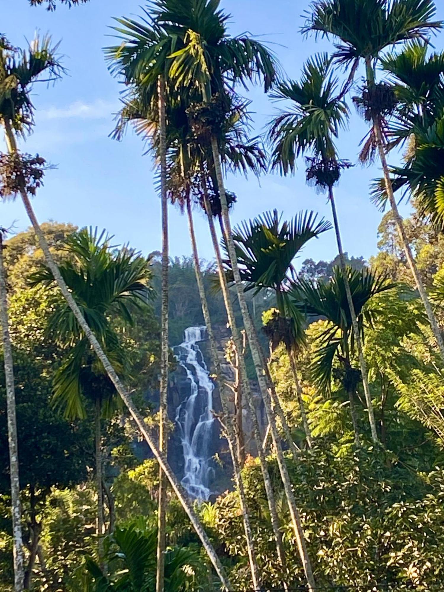 Cozy Homestay Waterfall Road เอลลา ภายนอก รูปภาพ