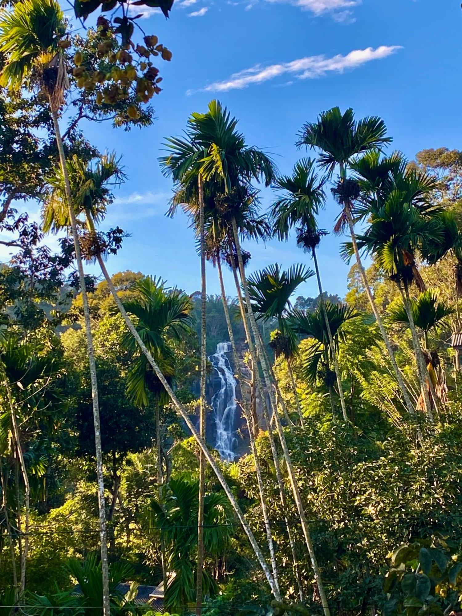 Cozy Homestay Waterfall Road เอลลา ภายนอก รูปภาพ