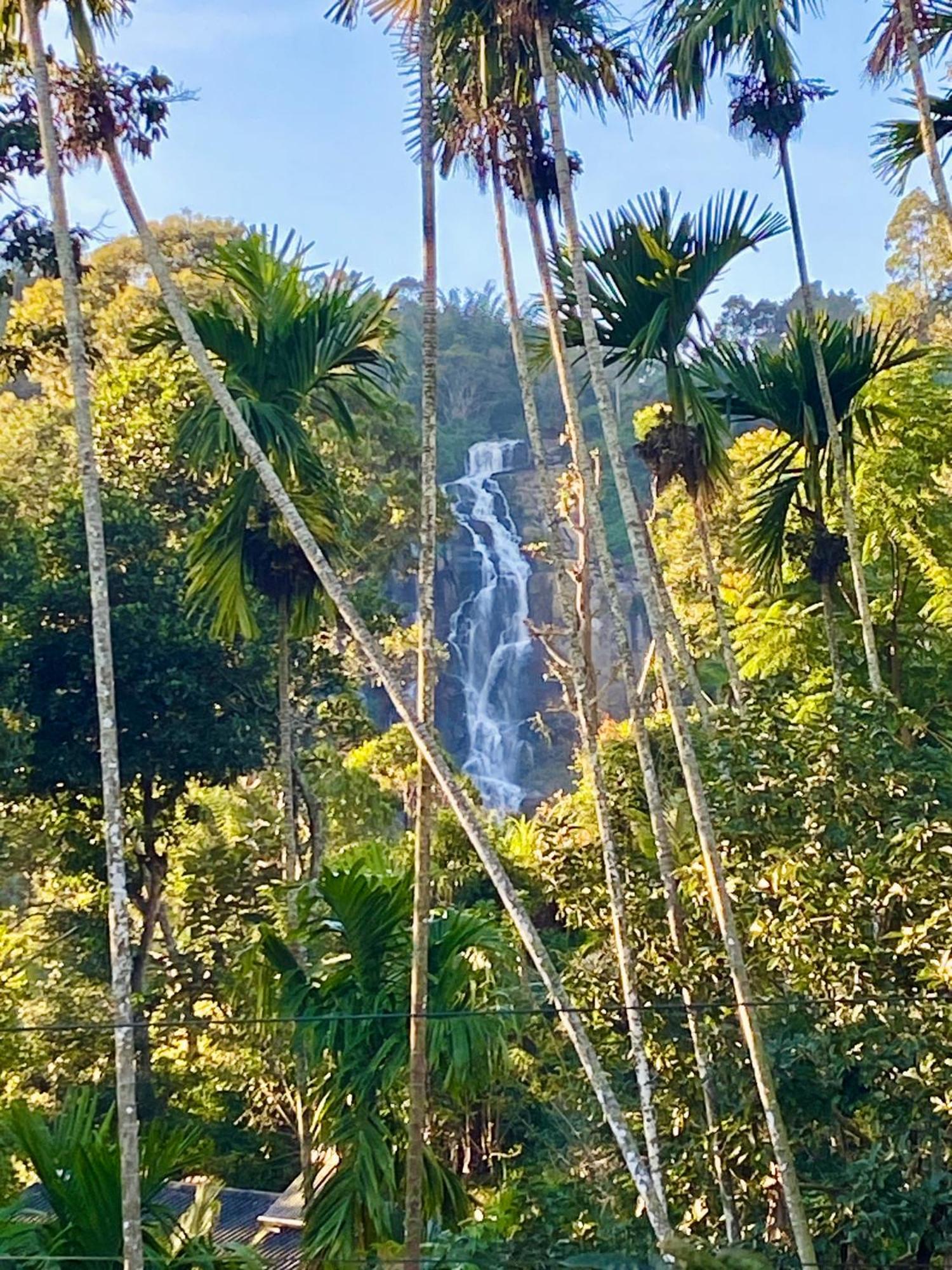 Cozy Homestay Waterfall Road เอลลา ภายนอก รูปภาพ