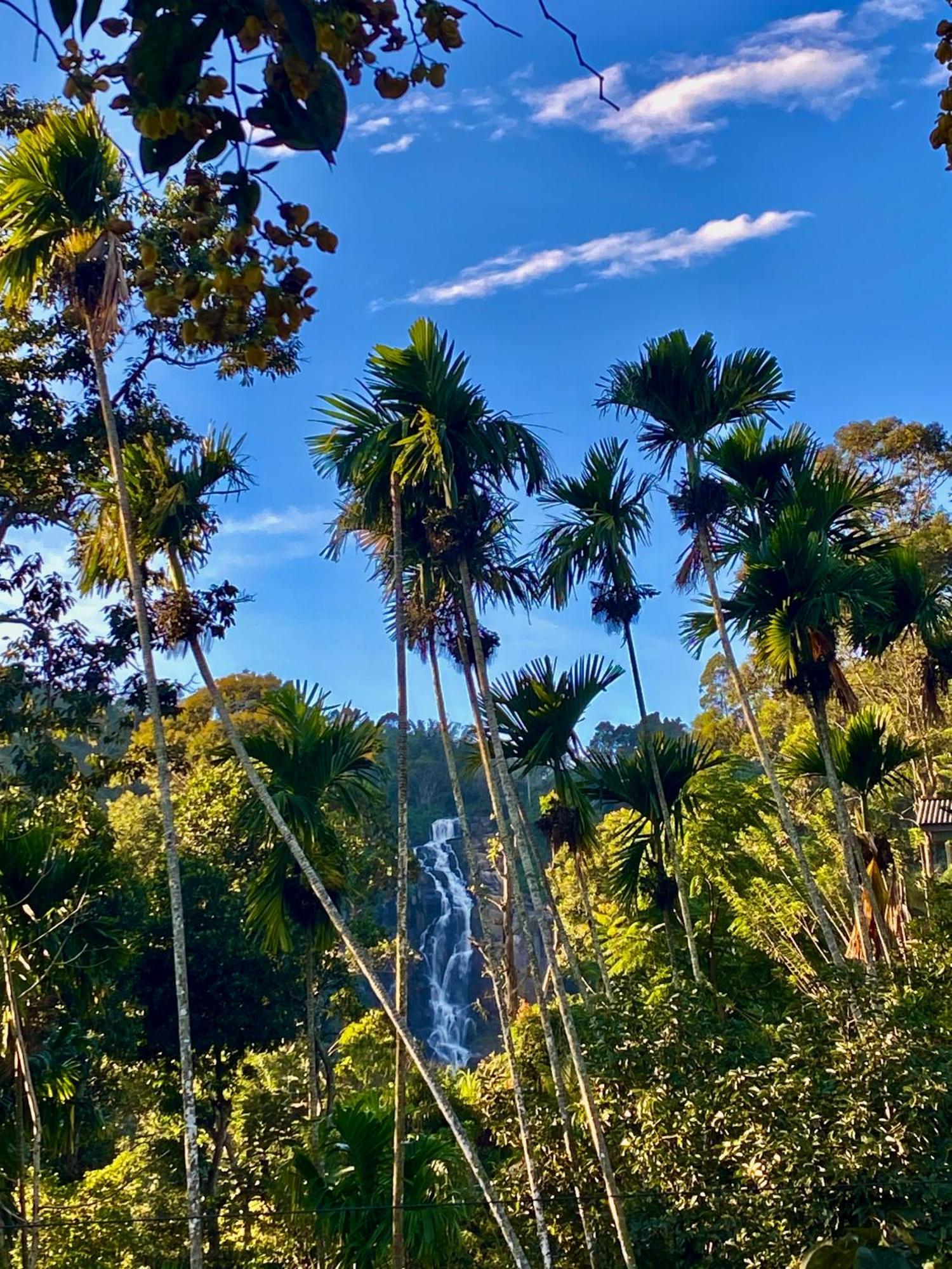 Cozy Homestay Waterfall Road เอลลา ภายนอก รูปภาพ