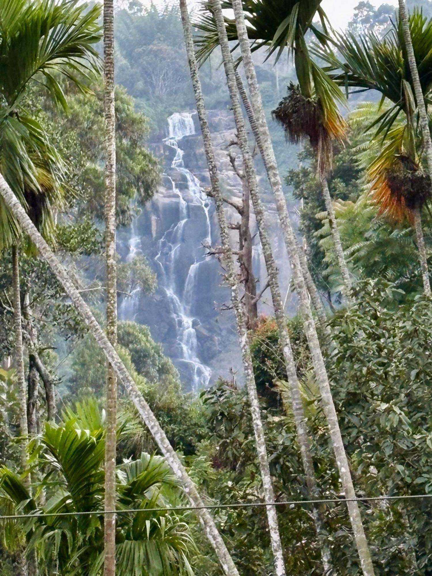 Cozy Homestay Waterfall Road เอลลา ภายนอก รูปภาพ